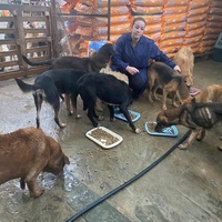 photo de livraison pour ADAN TETOUAN