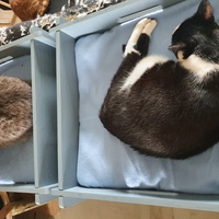 photo de livraison pour Animalove