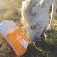photo de livraison pour Equi-Libre : Droit à la Retraite Equine