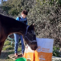 photo de livraison pour Association hippique du Caroux