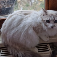 photo de livraison pour Ecole du Chat d’Arbois