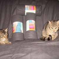 photo de livraison pour Jardin des Chats