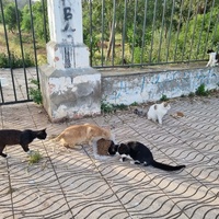 photo de livraison pour Kawthar Maree