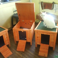 photo de livraison pour Pattes de Chats 50