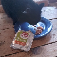 photo de livraison pour Au Rendez-vous des Animaux