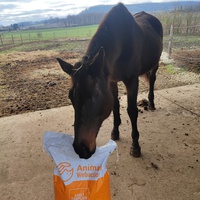 photo de livraison pour Refuge Cheval Nature En Aquitaine