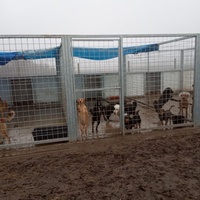 photo de livraison pour Association for the protection of animals "BAK"