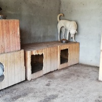 photo de livraison pour Sammelstelle für Tiere in Not e.V.