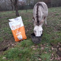 photo de livraison pour Arche et Relais