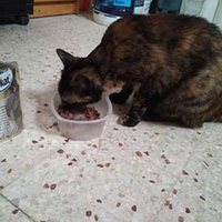 photo de livraison pour Au Rendez-vous des Animaux