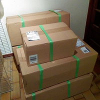 photo de livraison pour Les Chats Pitres de Saint-Paul