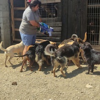 photo de livraison pour SPAS