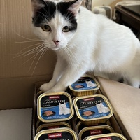 photo de livraison pour Association C.A.T.S. Chat Animal Terrien Solidarité