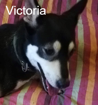 photo association