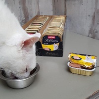 photo de livraison pour Les chats de l'Indifférence