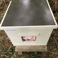 photo de livraison pour Cosette