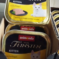 photo de livraison pour Les Chats-Pitresdelavi-Ste