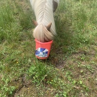 photo de livraison pour Espoir au Galop