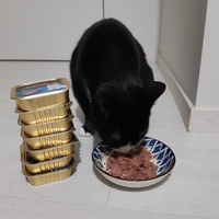 photo de livraison pour La Vraie Magie des Chats