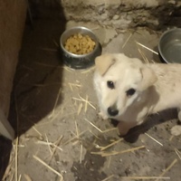 photo de livraison pour Ivana Nikolić