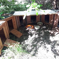photo de livraison pour Les Chats Libres de la Canterrane