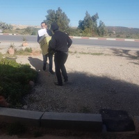 photo de livraison pour SOS Animaux Tunisie