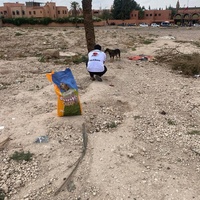 photo de livraison pour L'Arche de Noé