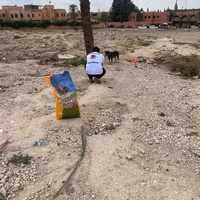 photo de livraison pour L'Arche de Noé