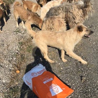 photo de livraison pour Anca Timpeanu