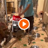 photo de livraison pour Le Coeur sur la Patte