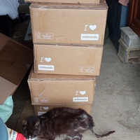 photo de livraison pour Ecole du Chat Libre de Caillerot