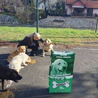 photo de livraison pour Beta Zajecar