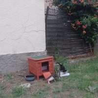 photo de livraison pour U Ghjattinu di Corti