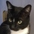 photo animal