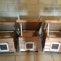 photo de livraison pour Ecole du Chat des Alpilles