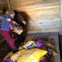 photo de livraison pour Alina & Anda