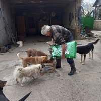 photo de livraison pour Association for the protection of animals "BAK"