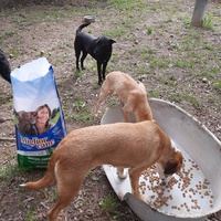 photo de livraison pour Azil za pse"Poslednja oaza"