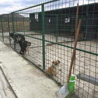 photo de livraison pour Save & Hope for Dogs