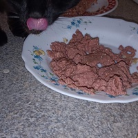 photo de livraison pour Protect Cat