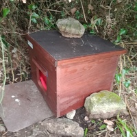 photo de livraison pour Les Chats-Pitresdelavi-Ste