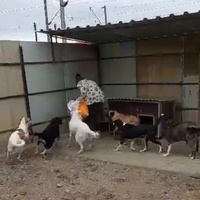 photo de livraison pour Associtia Axi Hope Romania