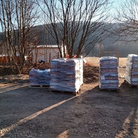 photo de livraison pour Silver Dog Srebrenica