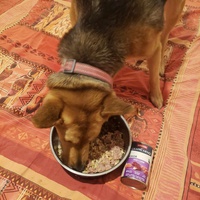 photo de livraison pour AVRAH