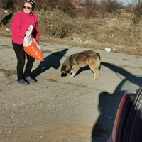 photo de livraison pour Georgina Schmidt