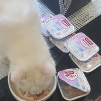 photo de livraison pour Les chats de l'Indifférence