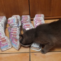 photo de livraison pour Le Grand Cœur de Lola
