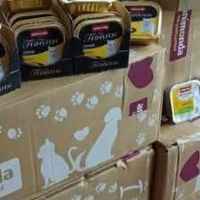 photo de livraison pour Ecole du Chat d’Arbois