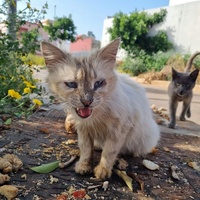 photo de livraison pour Kawthar Maree