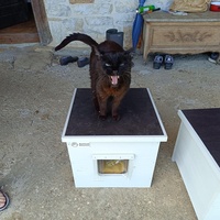 photo de livraison pour Ecole du Chat Libre de Caillerot